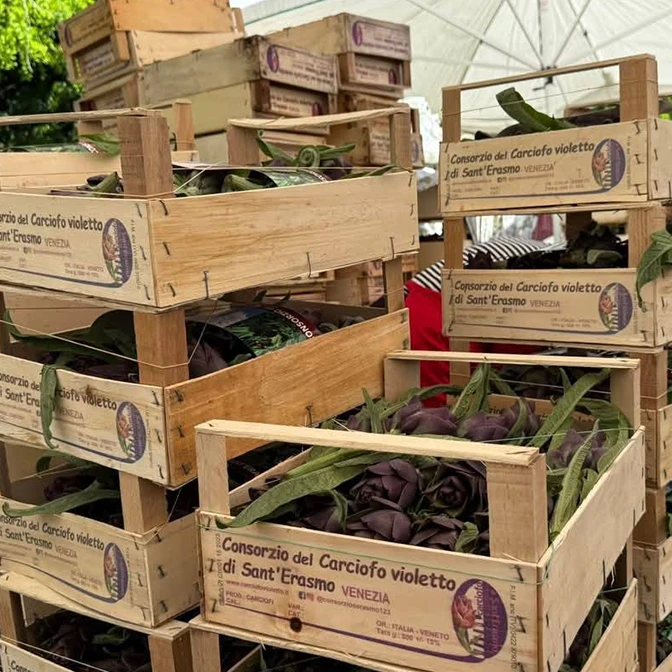 Carciofo violetto di Sant'Erasmo - Venezia